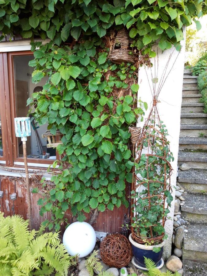 Ferienwohnung Rosa Muller Wangen im Allgäu Extérieur photo